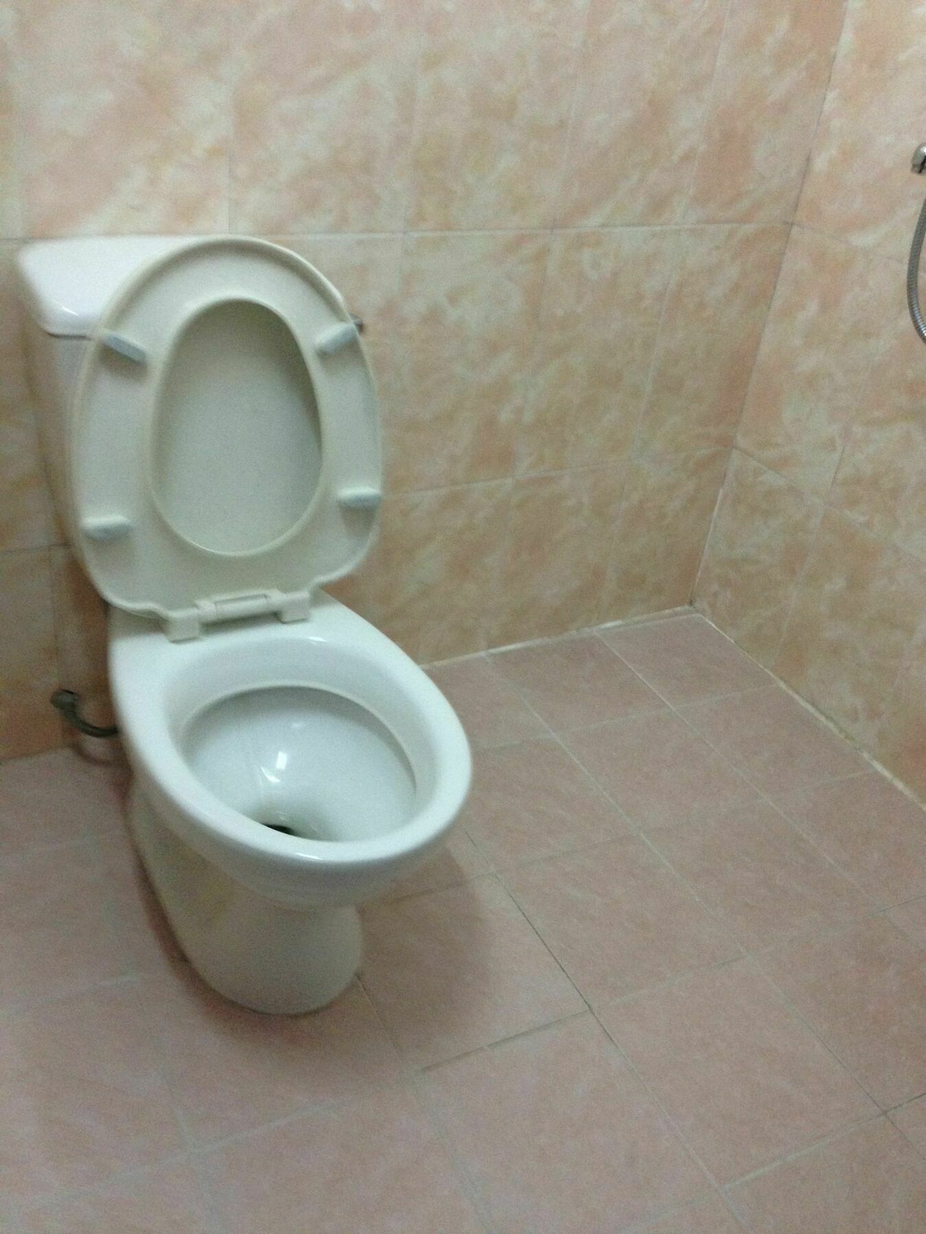 Thien Phuc Guesthouse Νταλάτ Εξωτερικό φωτογραφία